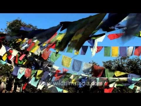 Swaying prayer flags on top of flag hill in Jaberkhet