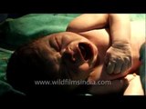 Baby's first cry after Caesarean section delivery!