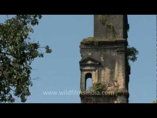 Ruins of St  Augustine complex, Goa