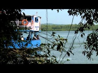 Ferrying across Mapusa River in Goa
