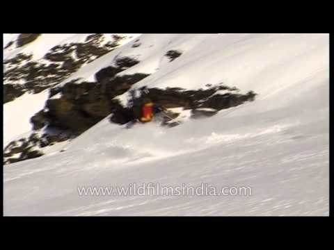 Snow covered mountain peaks perfect for heli-skiing