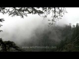 Clouds roll in rapidly over Mussoorie hills in time lapse