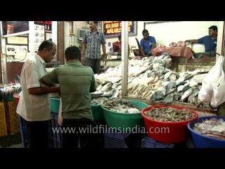 Fish stall at INA Market