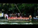 Women team rowing at Kerala Snake boat race