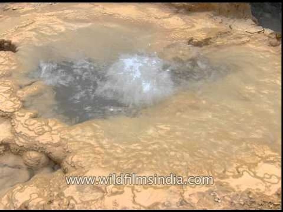 Bubbling hot springs in Tapoban