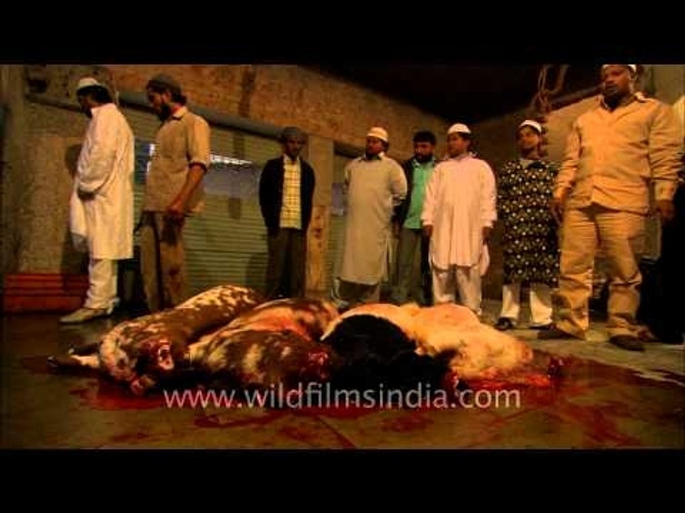 Lifeless goats lying on the floor after beheaded during Bakri-Id, Delhi