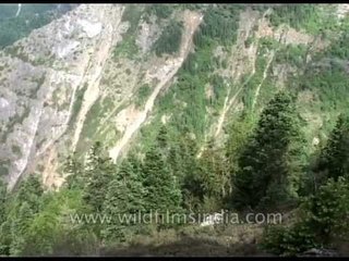 Inner sanctuary of Nanda Devi: from Lata Kharak to Dibrughetta