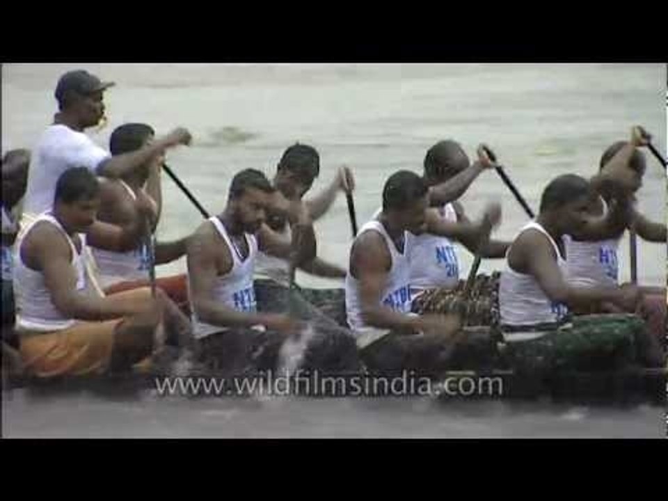 Teams rowing in high spirits at the Nehru Trophy Boat Race, Kerala