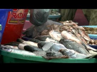 Seafood shops in INA Market, Delhi