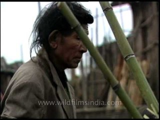 Hanging up chickens on bamboo poles, for rain sacrifice!