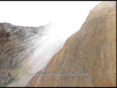 Boiling hot sulphur water coming out of deep earth, Tapoban hot springs