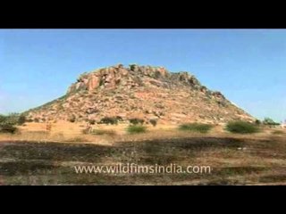 Wild west of India as seen through a moving train