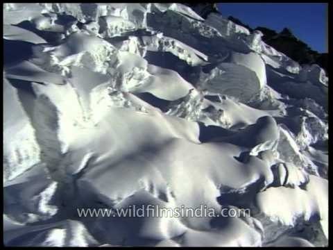 Highest of all - the Himalayan range through the chopper!