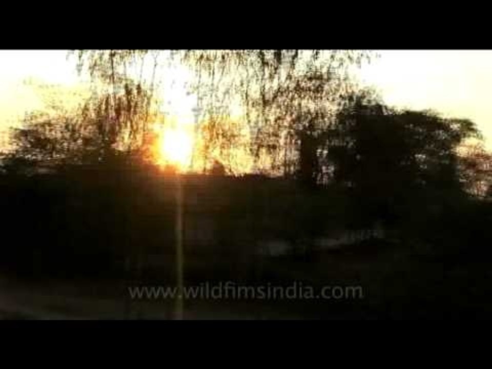 Sundown while train traveling in India