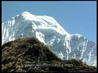 Bandarpunch towering above Darwa Top, high above Dodital