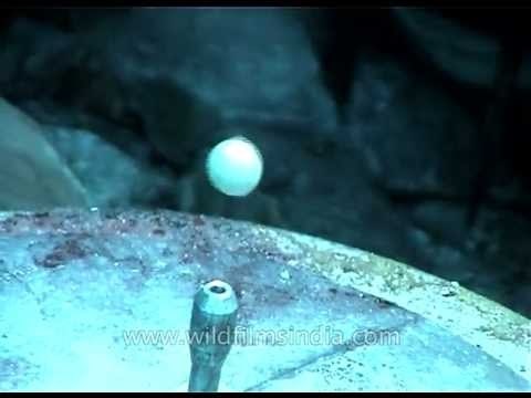 Games sherpas play when stuck at Everest Base!