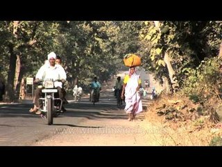Go-vigyan Anusandhan Kendra - promoting Panchagavya Ayurved