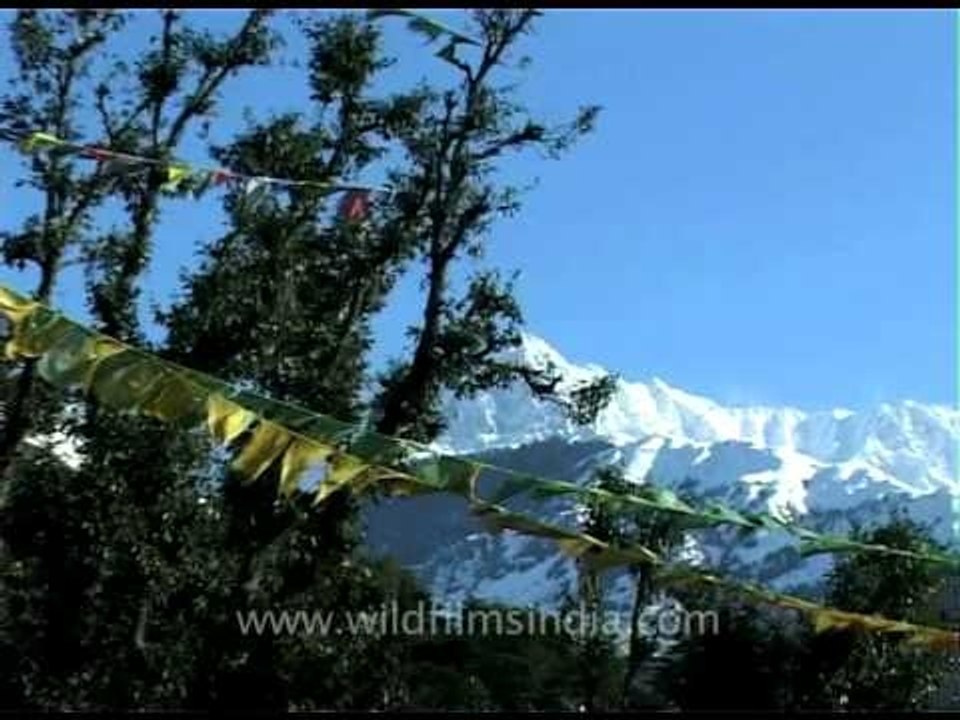 Himalayan vignettes from Dharamsala....