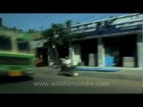 Crowded streets in a drive-by through Chennai