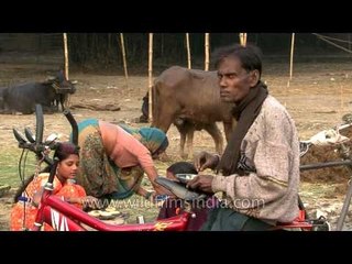 Early morning at the camping site of the Sonepur mela