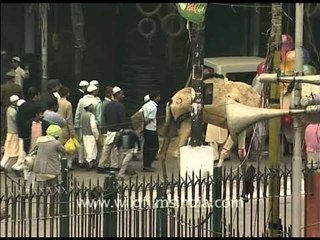 Guy riding a camel on the ocassion of Bakri-eid