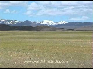 Mount Kailash and Lake Mansarovar in Tibet