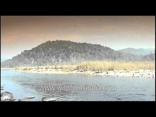 Kaziranga National park - serene and peaceful!