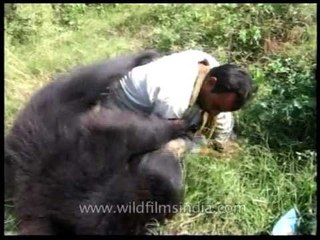 Tame sloth bear overpowers its handler in Assam