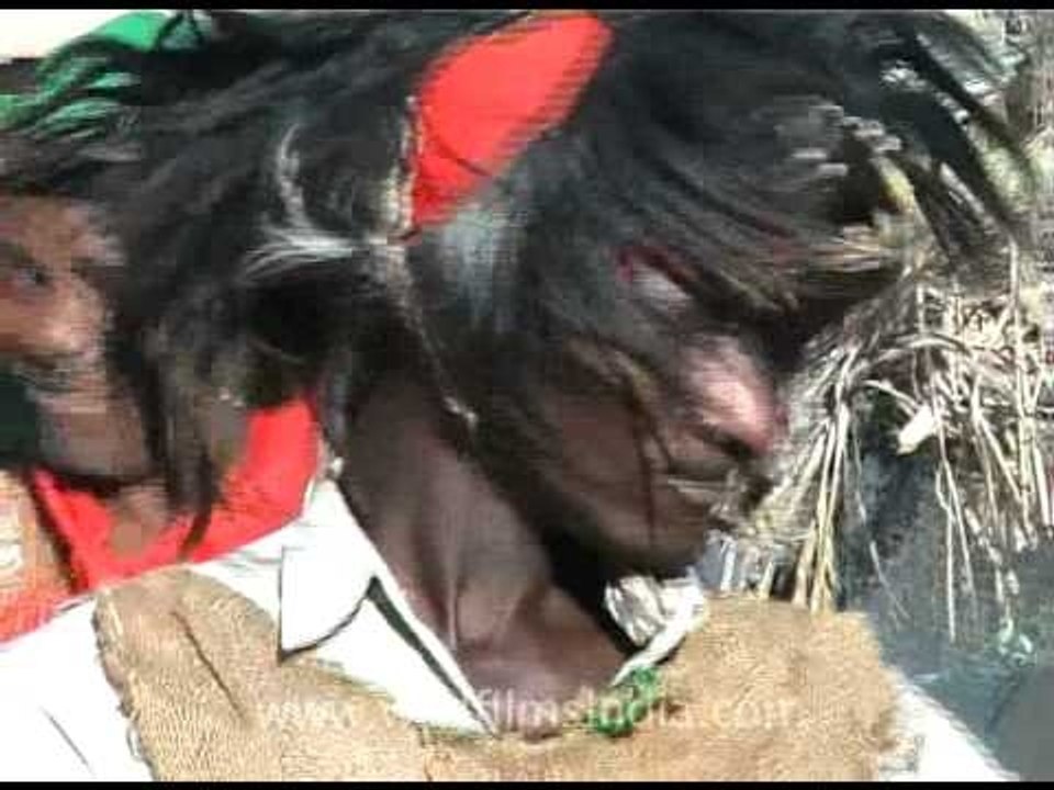 Soulful tribal folk music of Siddhi village