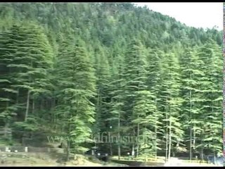 Aerial view of Palampur and Dharamshala, Himachal
