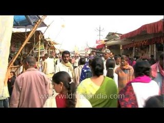 Rural crowds at Sonepur fair - rural middle class