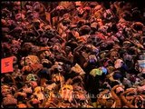 Mass gathering of devotees with offerings, Sabarimala