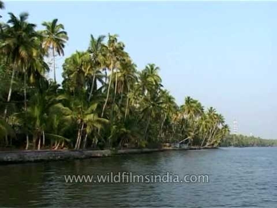 The best beaches of Kerala and Goa!