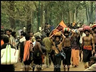 Lord Ayappans' people gather with offerings on head