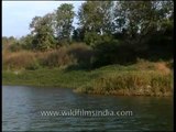 Ken Gharial Sanctuary, Madhya Pradesh