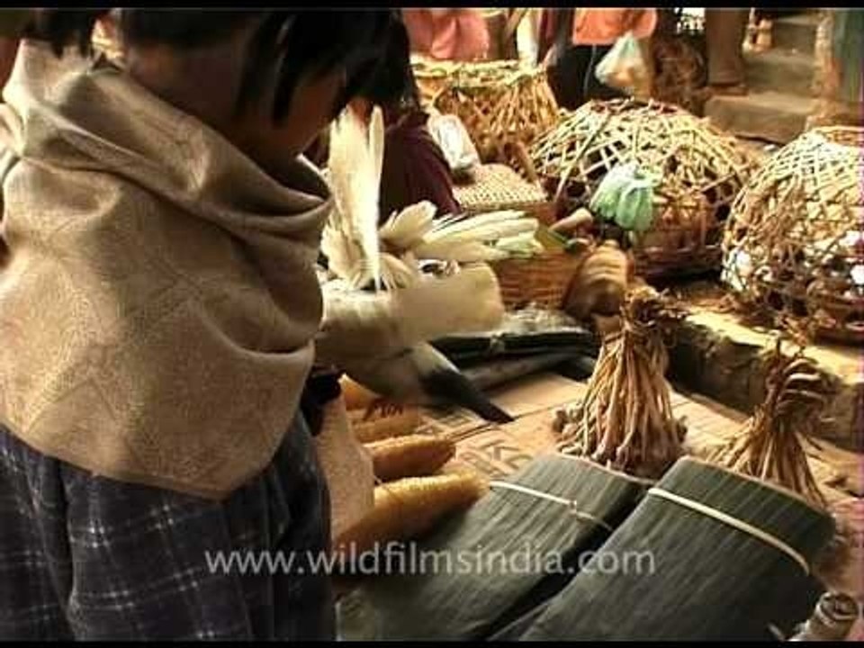 Dogs, rodents and pigeons for sale in a market - for eating!