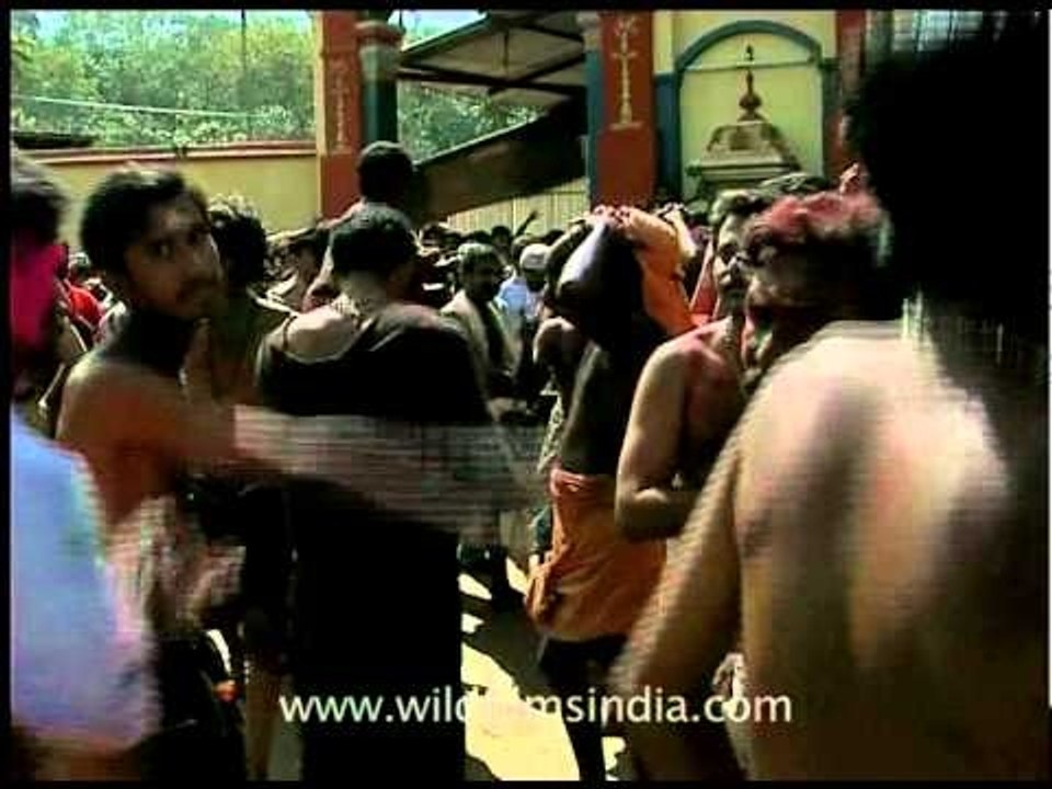 Pilgrims manumit devotion through dancing for Lord Ayappan