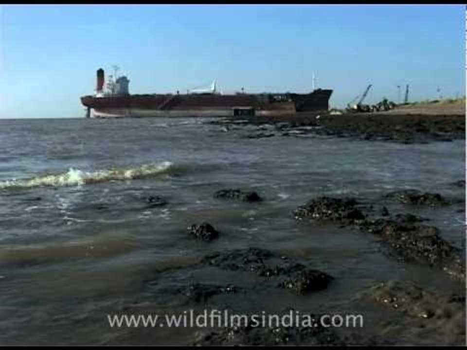 Ship recycling yard, Alang! video Dailymotion