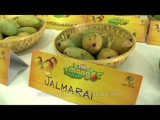 Mango police at International Mango Fest?