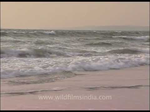 White sea waves splashing on Goa shores