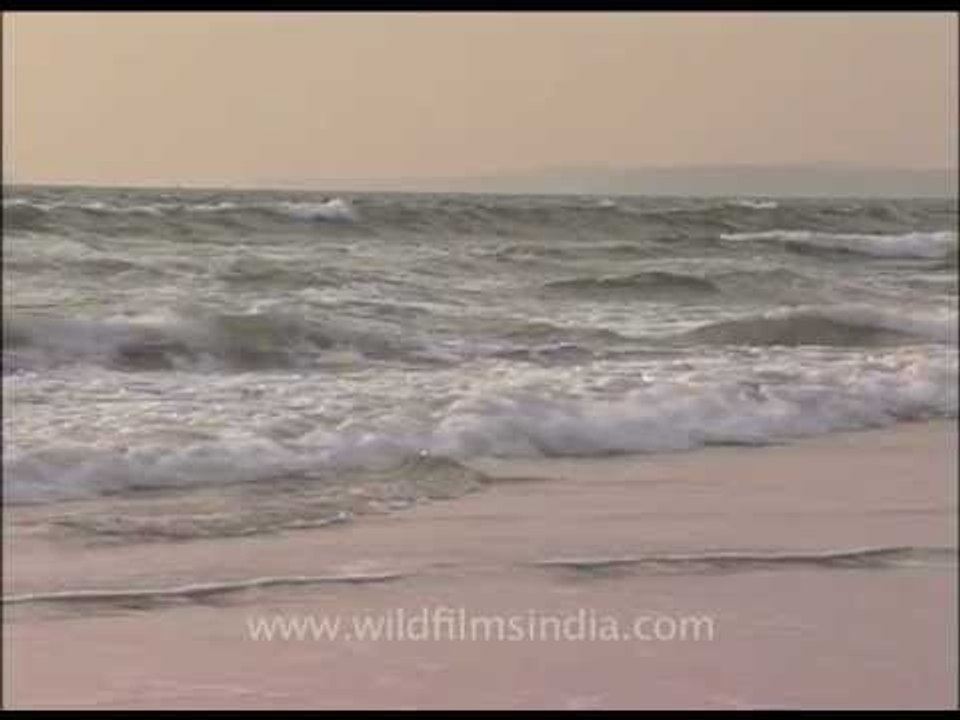 White sea waves splashing on Goa shores