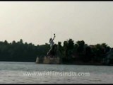 Resorts near the backwaters of Kerala!