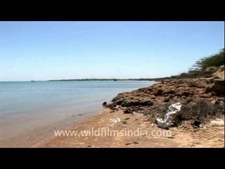 Dwarka beach, Gujarat