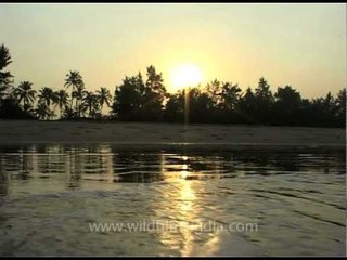 Evening sunset view of Goa, from a ferry