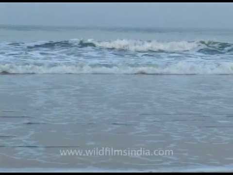 Goa still has some solitude and peaceful beaches to offer