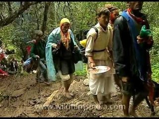 Nanda Devi Jat Yatra - Towards the skeleton lake!