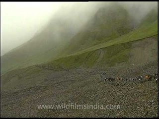 Cold weather and steep path, Nanda Devi...