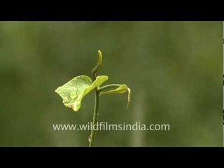 And then it rained in Delhi!