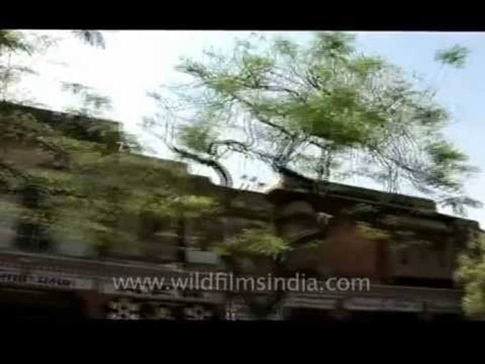 Speeding through Jaipur