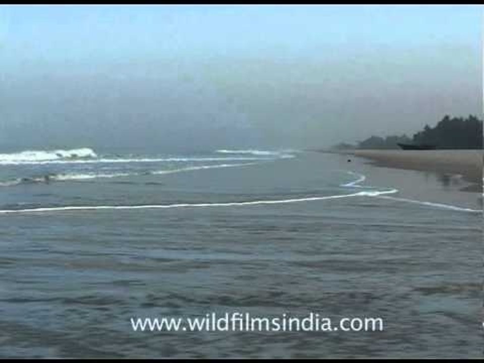 The mystic Goa beach...